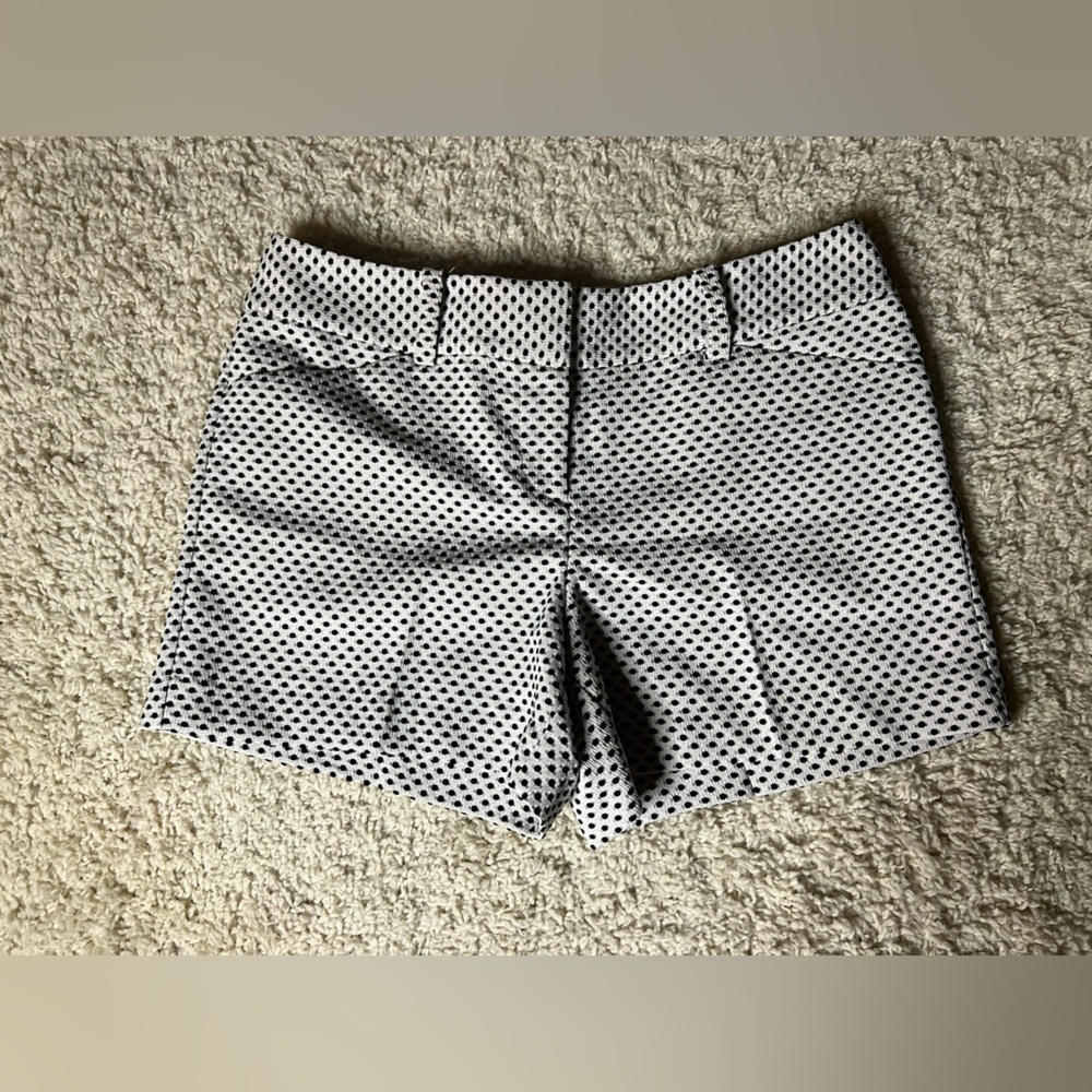 Women's Ann Taylor Petite Black and White Polka Dot Shorts